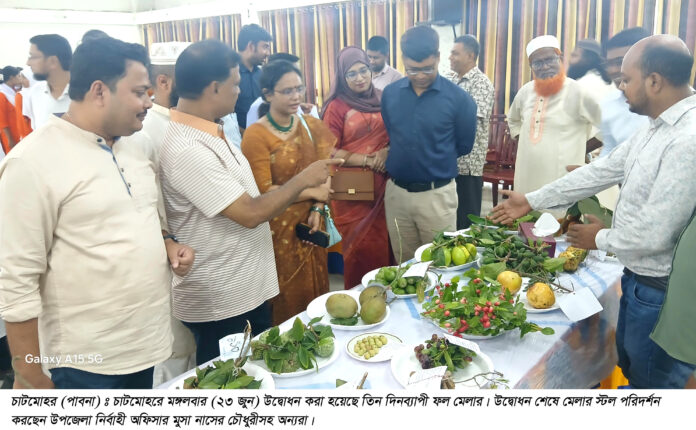 Chatmohar fruit fair Pic-1