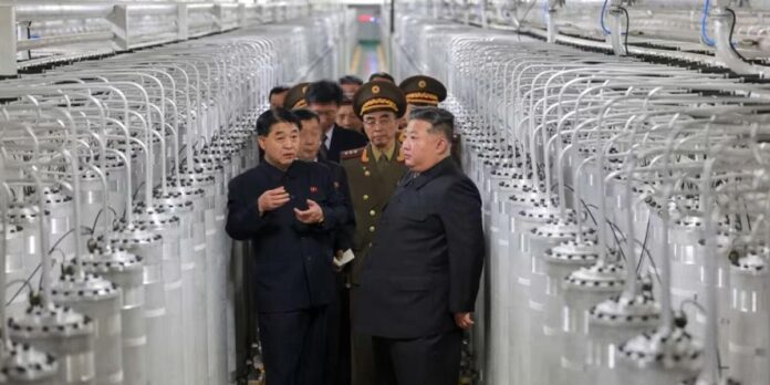 kim