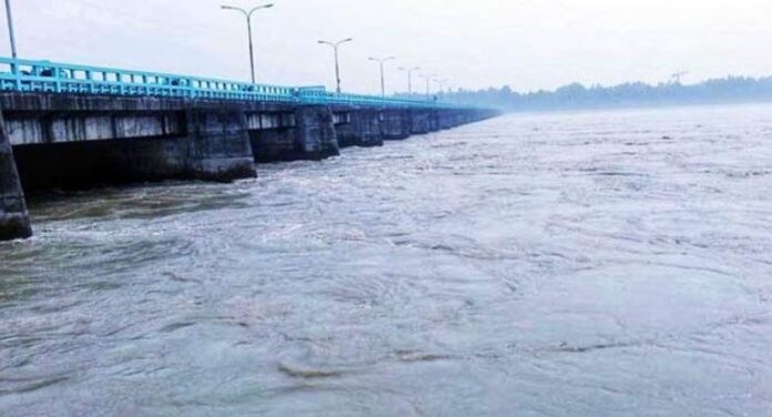 tista river dalia p