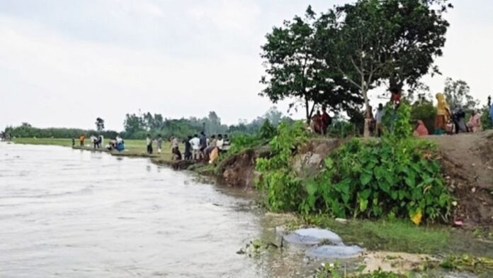 pani