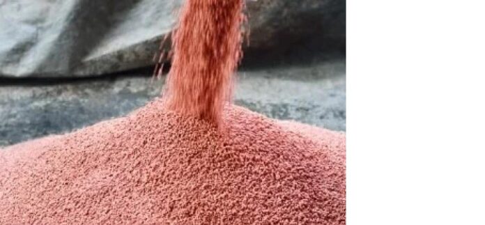 grain