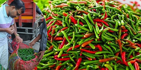 kancham