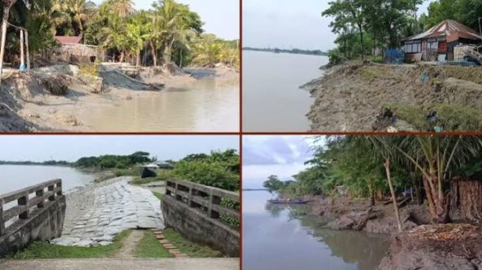 কাঁকড়া রপ্তানি 01