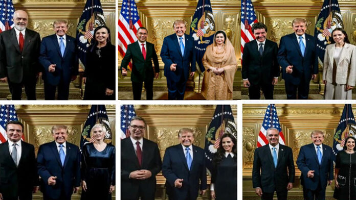 trump-aa